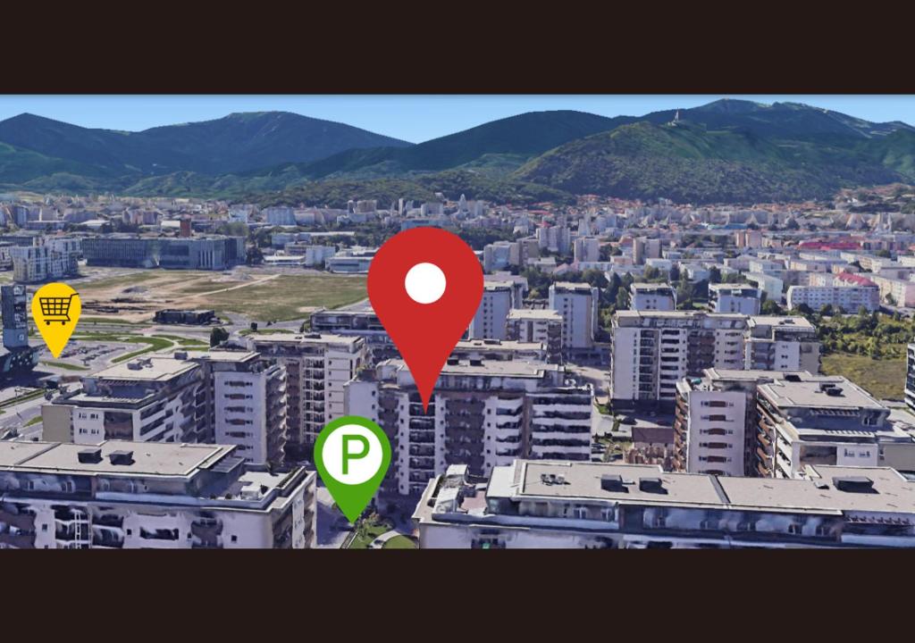 Ảnh 5