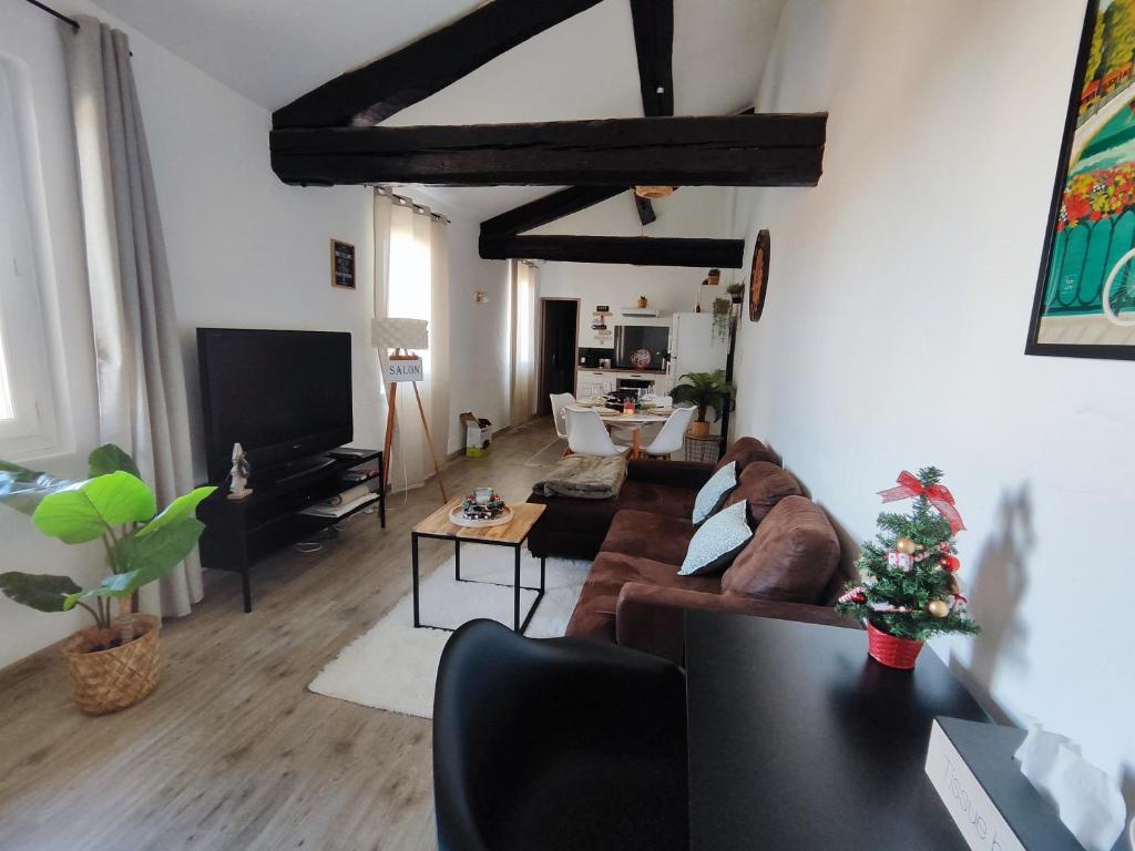 Appartement de Charme L'Isle-sur-la-Sorgue sur la Sorgues - 3