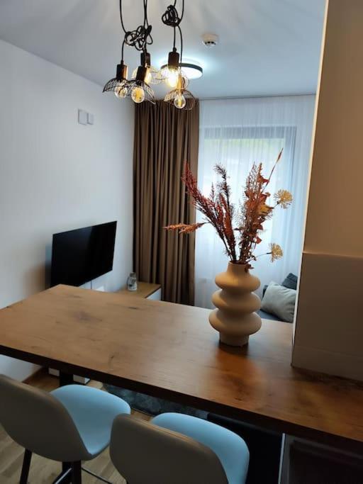 Maxx Apartmani Obucina Kapije - 4