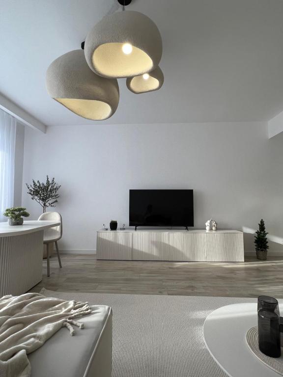 Chameleon Studio, Ferizaj