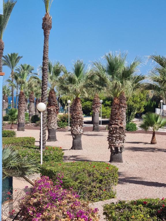Zafiro Apartment Cabo Roig - 2