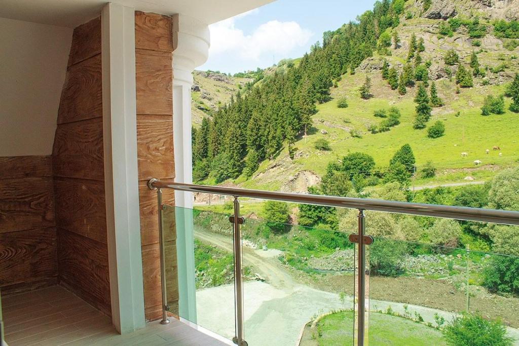 Hotel Green Valley Savsat