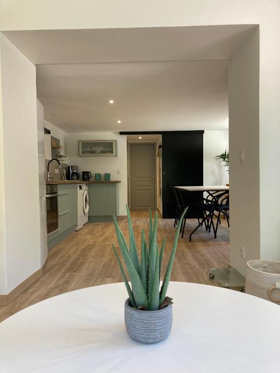 Appartement T2 rez de chaussée villa Les Tamaris Aix-les-Bains - 1