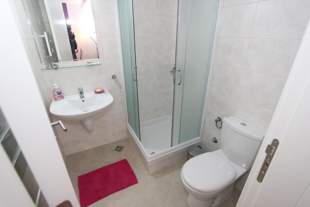 Aleksandar - Stan Na dan Belvil Novi Beograd, parking 5 evra dnevno - 5