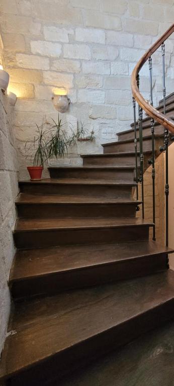 Studio Sommieres
