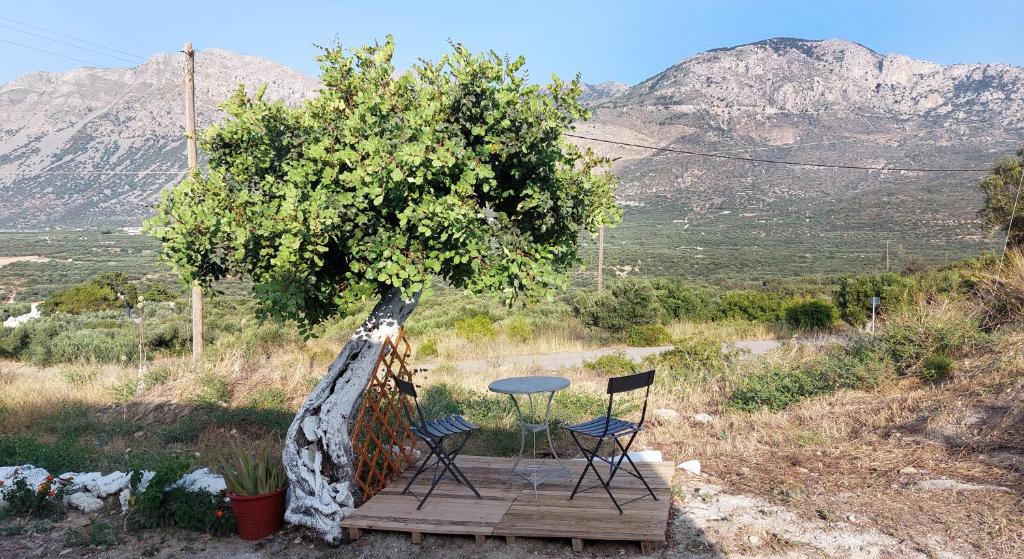 Harmony Cottage, Vasilikí