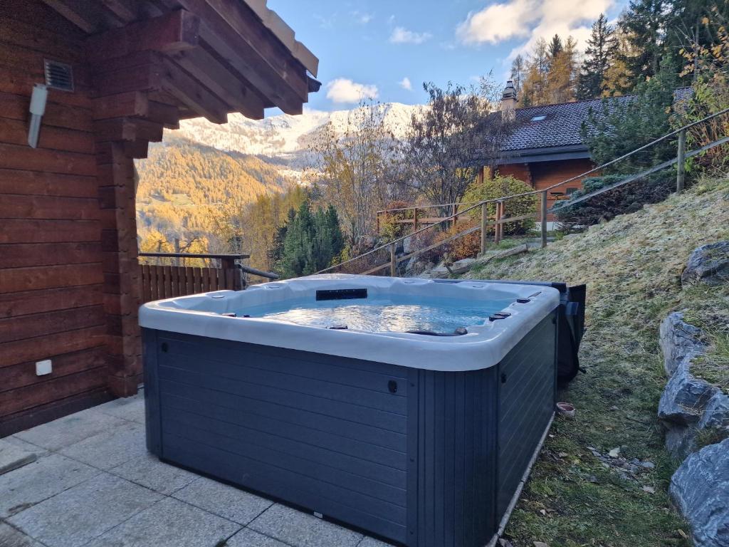 Chalet Petite Arvine - 4