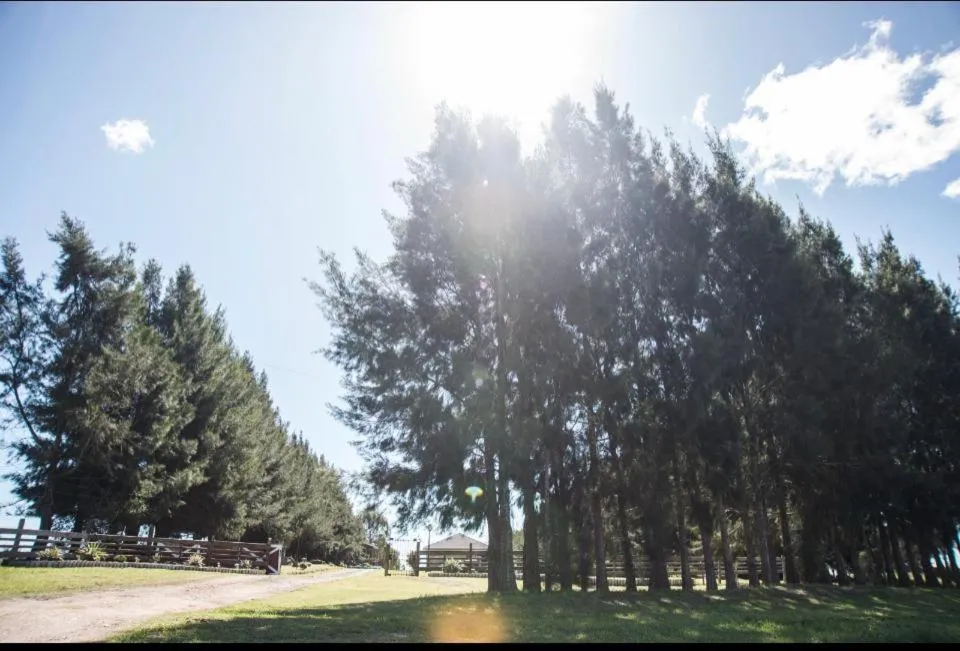 Chacra Los Arándanos, Hotel in Durazno