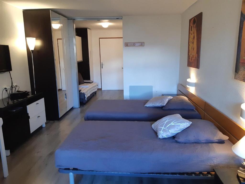 Studio confortable 28m², 4 pers, animaux admis, parking, wifi - 4