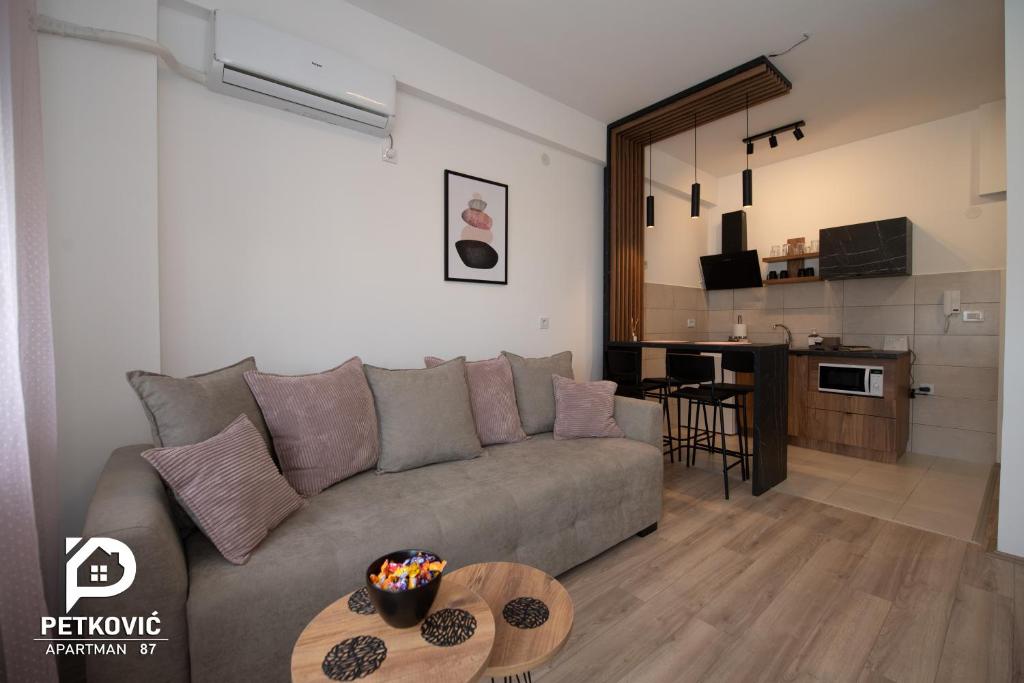 Petković apartmani 87 - 4