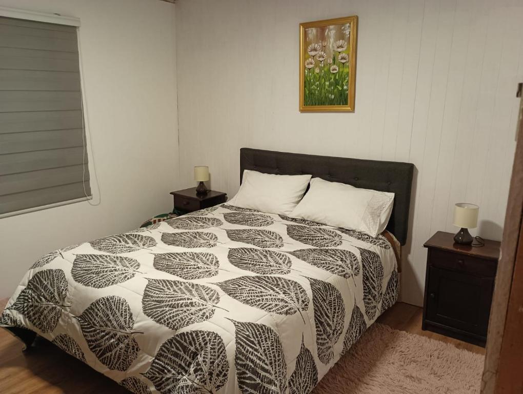 Casa Cudico bajo- Lican ray - 4