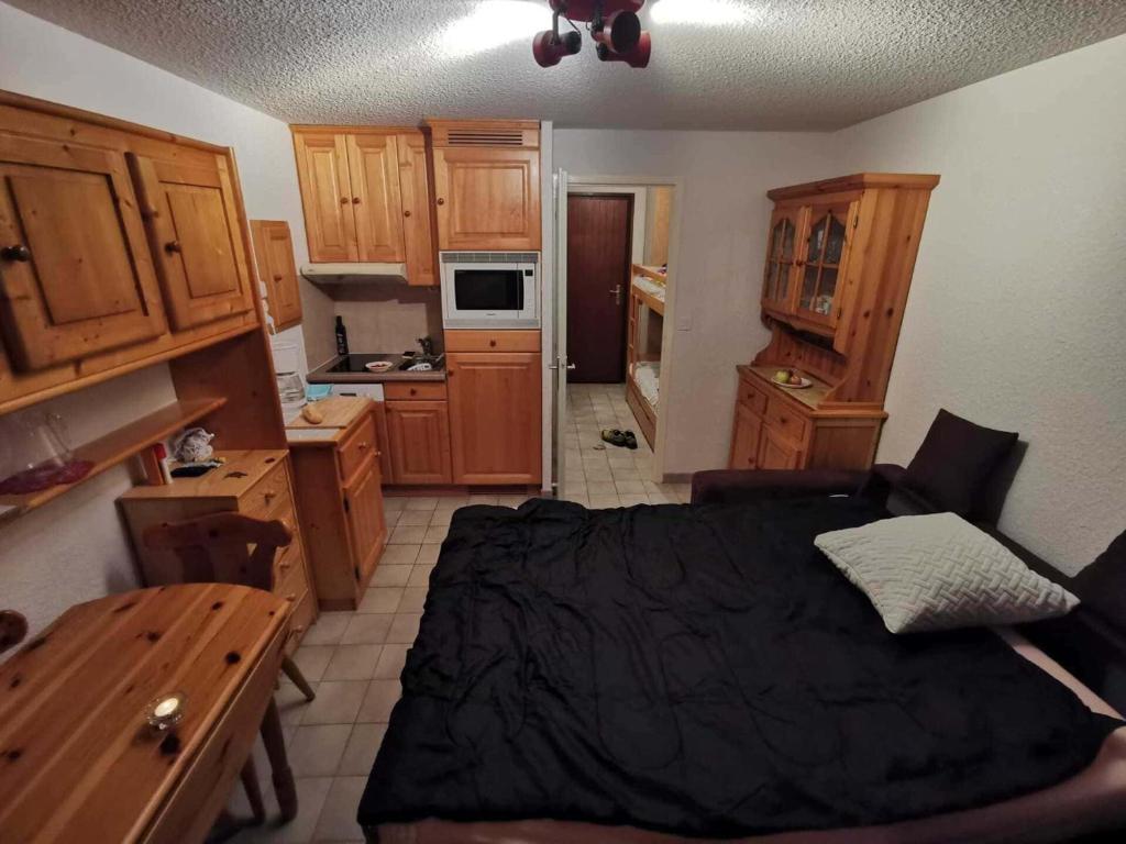 Studio 3 Pers Châtel, Terrasse, Animaux Ok - FR-1-676-180 - 3