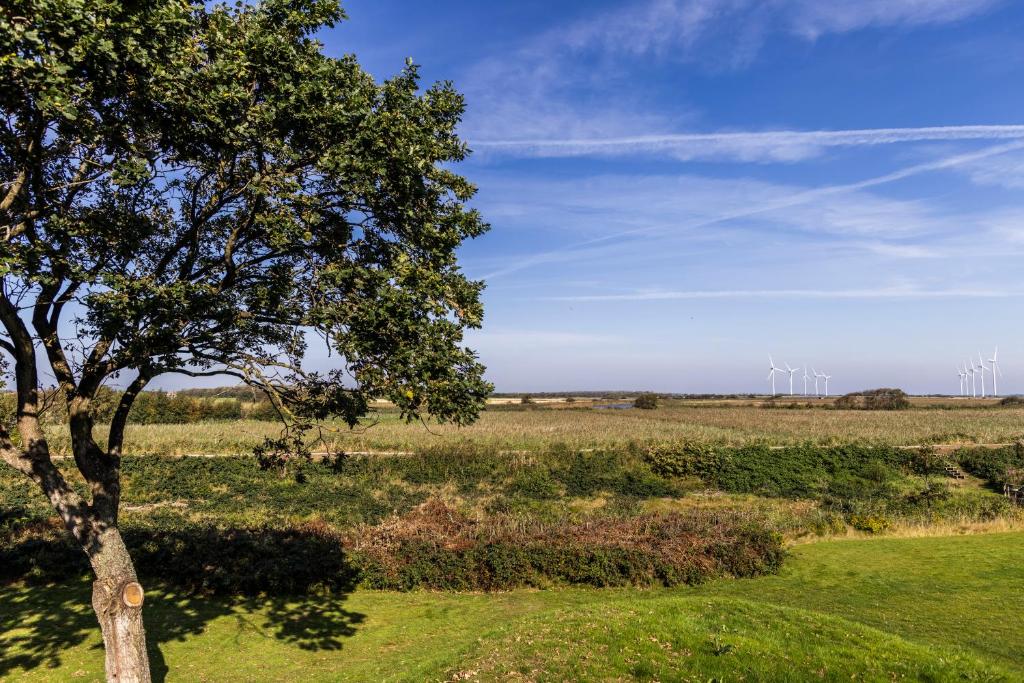 Surrounding environment