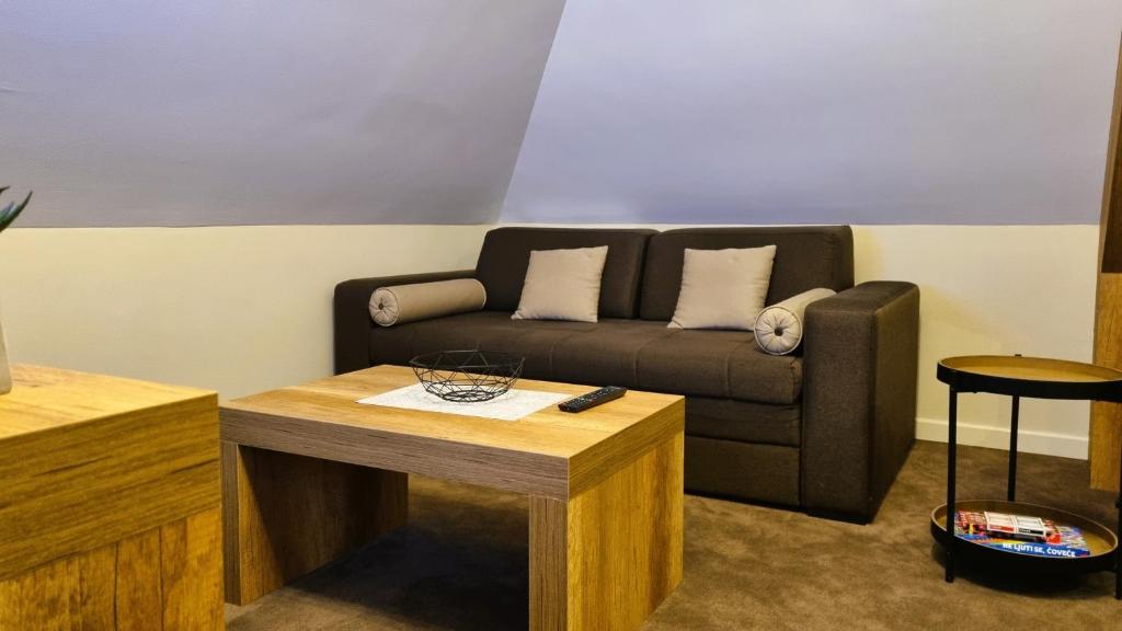 FEMI Kopaonik Apartment, Župa Aparthotel, Kopaonik Center - 5