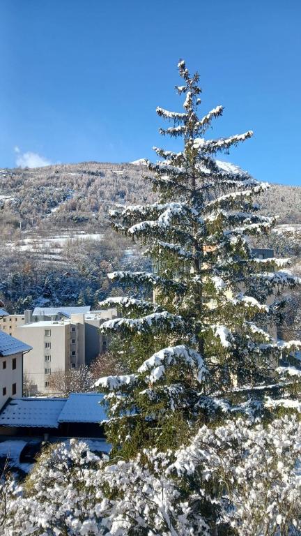 Coquet appartement Type 2 de 56 m² en centre ville - 2
