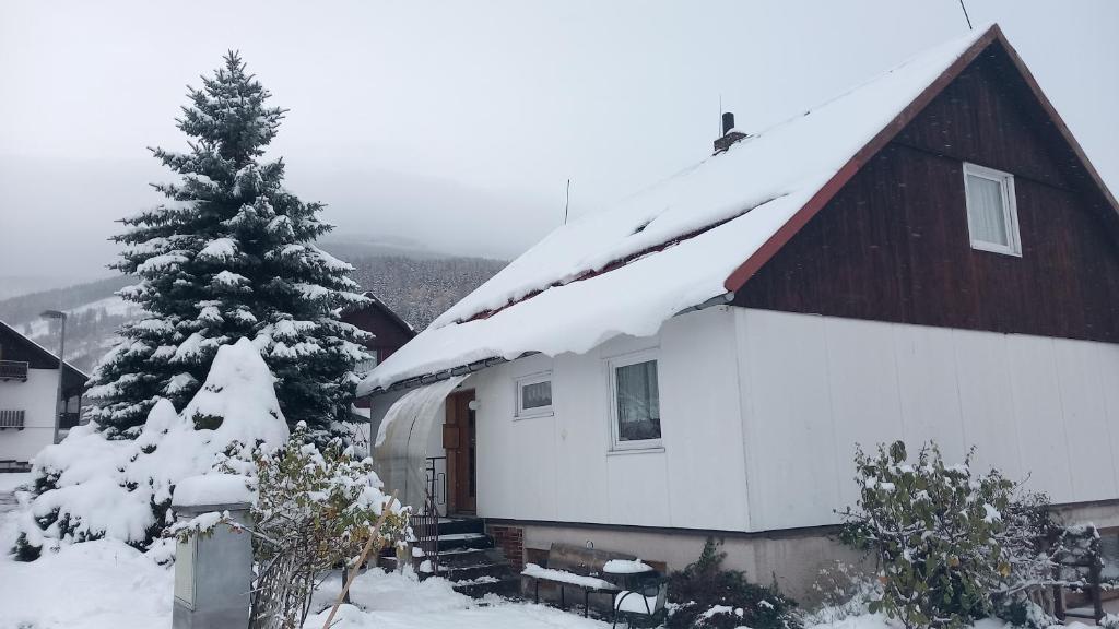 Ubytování u sjezdovky až 12os, Cerny Dul