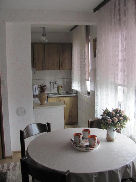 Apartment SAFIR - Free parking - 3