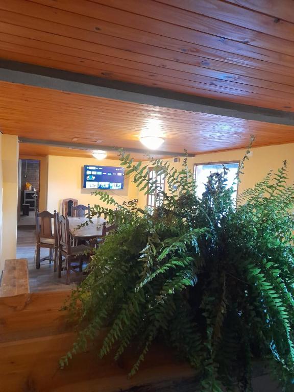HostelDraiggoch - 5
