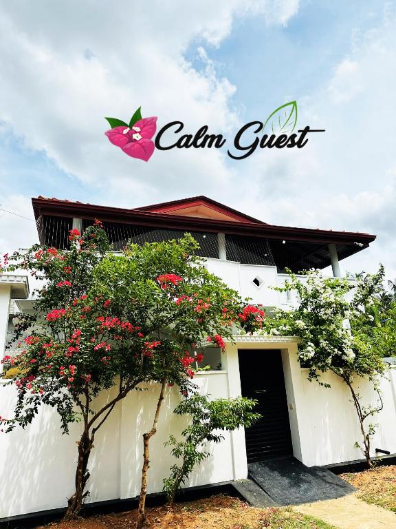 Calm Guest, Trincomalee