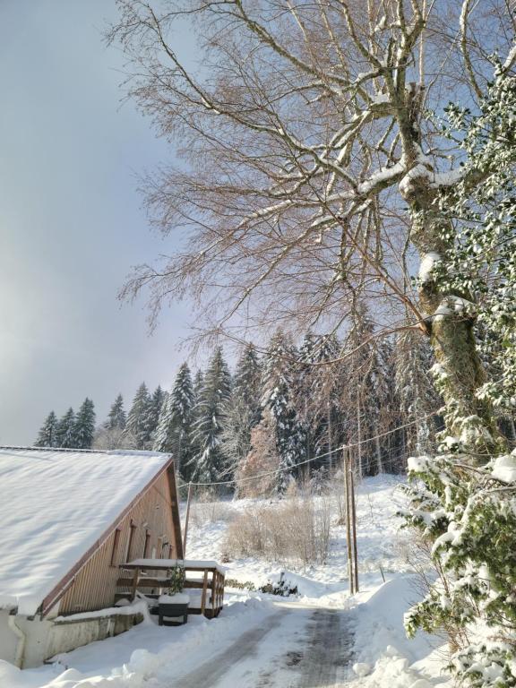 La Ferme du Badon - 4