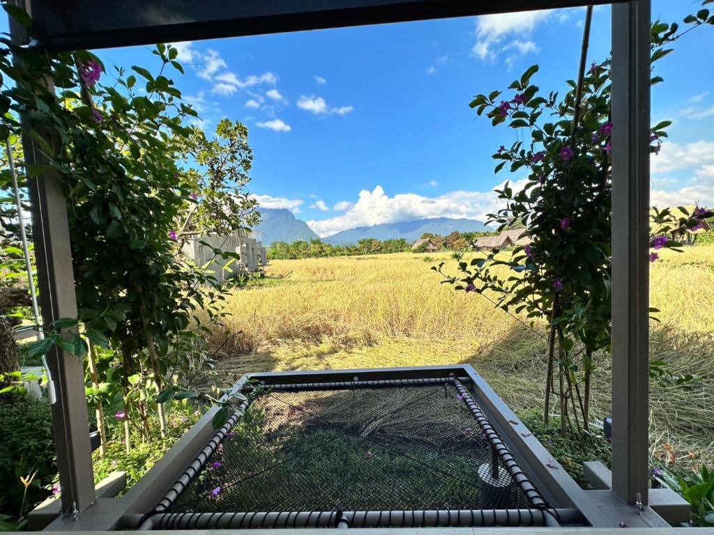 สภาพแวดล้อมโดยรอบ