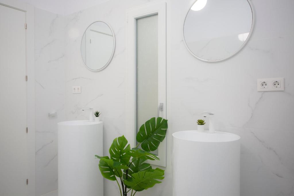 SingularStays Tinglado - 2