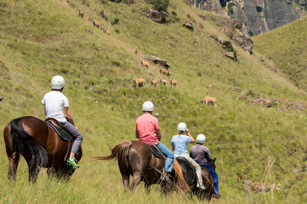 Horseback riding
