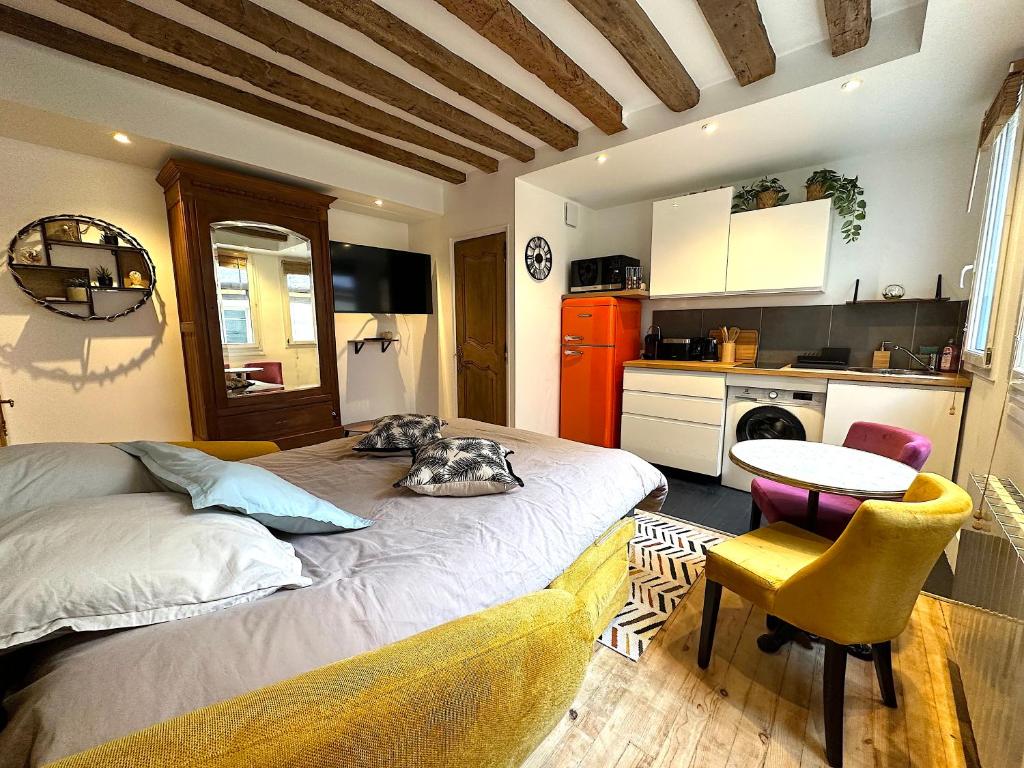 Mytripinparis - Fully renovated studio historical Paris - 5