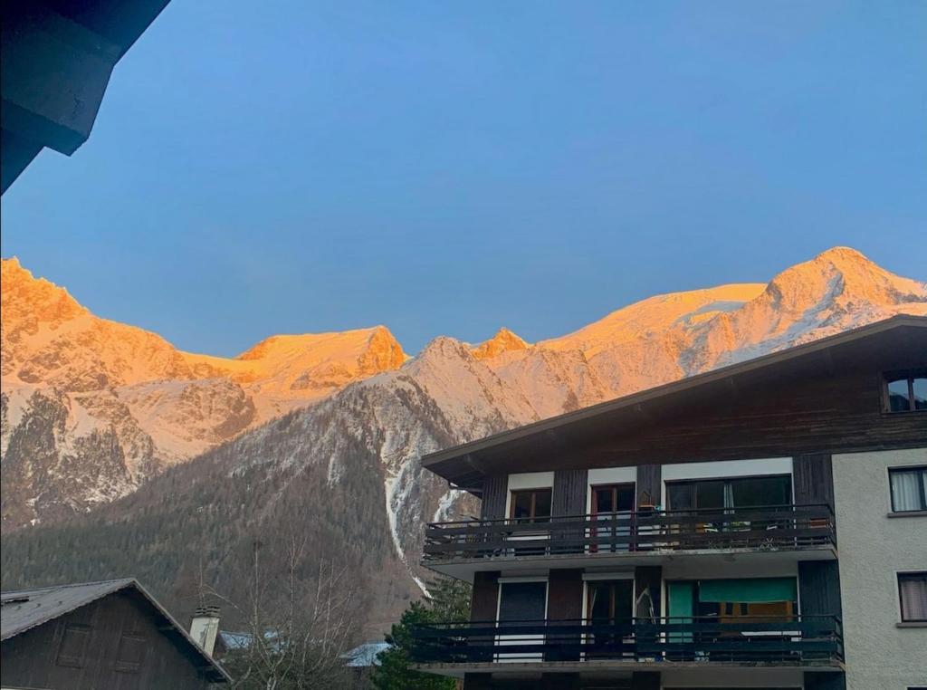 Les Dryades - Rénové - Balcon avec vue Mt Blanc - 4