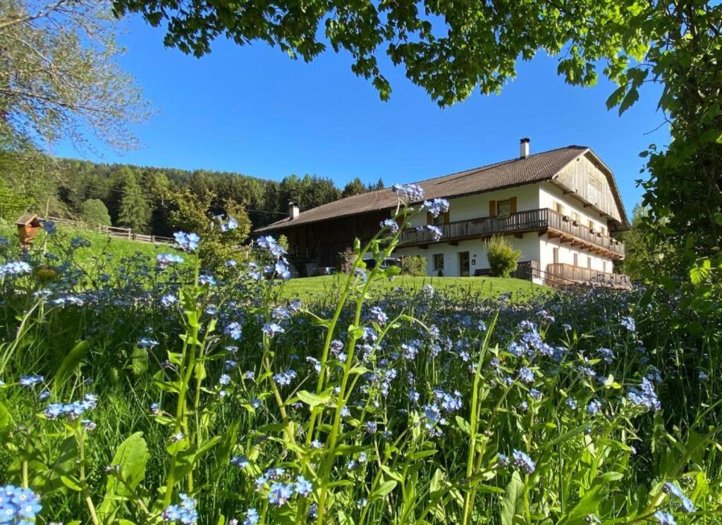 Schöpfer Hof - Urlaub beim Biobauer