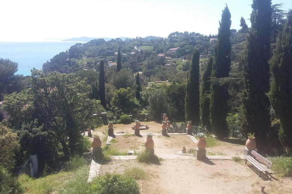 Studio 4 pers coeur du Lavandou - 3