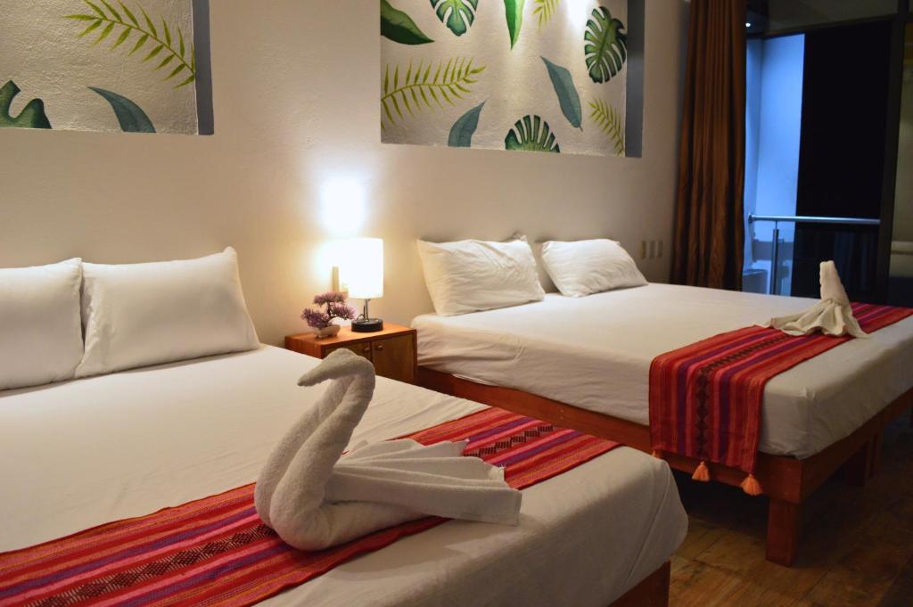 Hotel Axolotl - 4