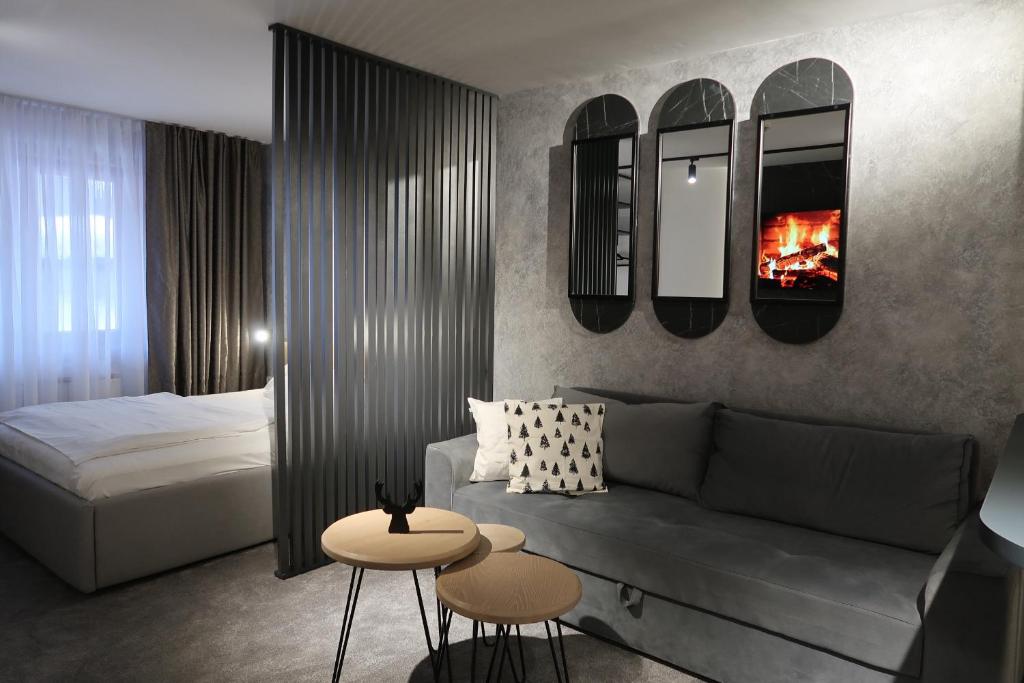 Apartman 105 - Aparthotel Vučko Jahorina private host - 3