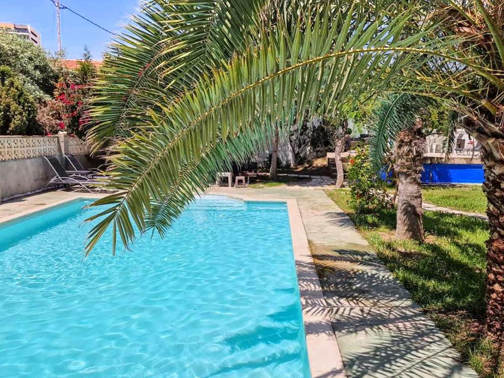 House with exclusive pool and garden 7 min walk from the beach and the center - 5