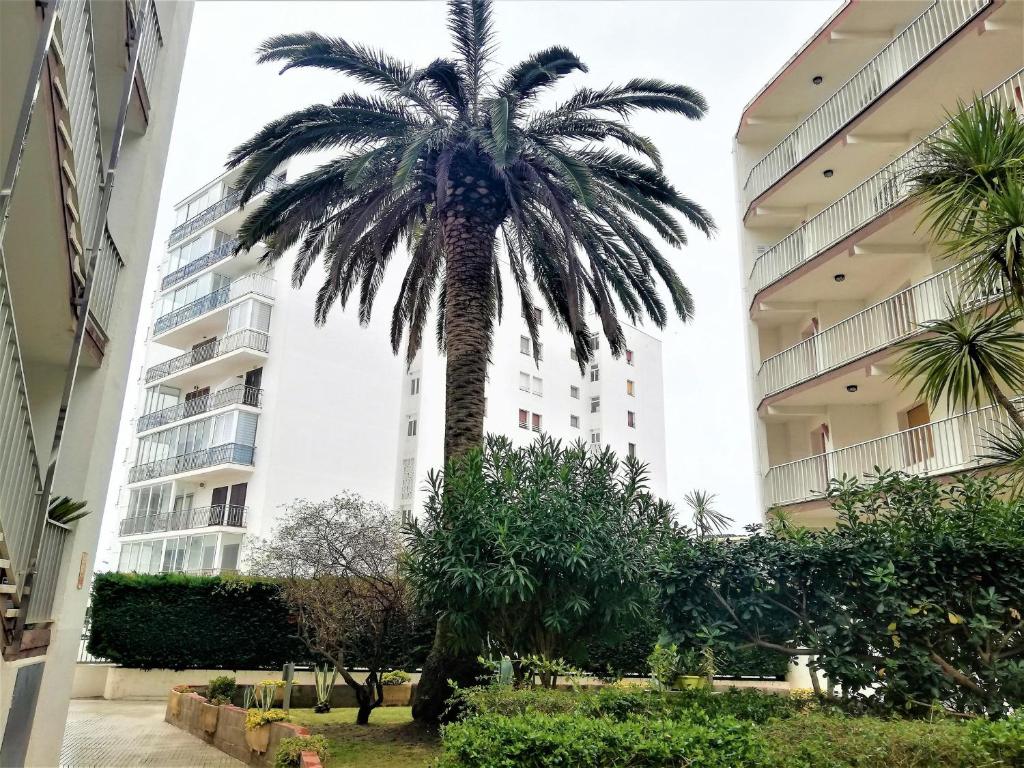 Apartamento en 2ª línea de playa con terraza, parking y WIFI, cerca de comercios. - ES-258-119 - 4