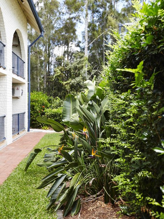 View, Bay Beach Motel in Byron Bay