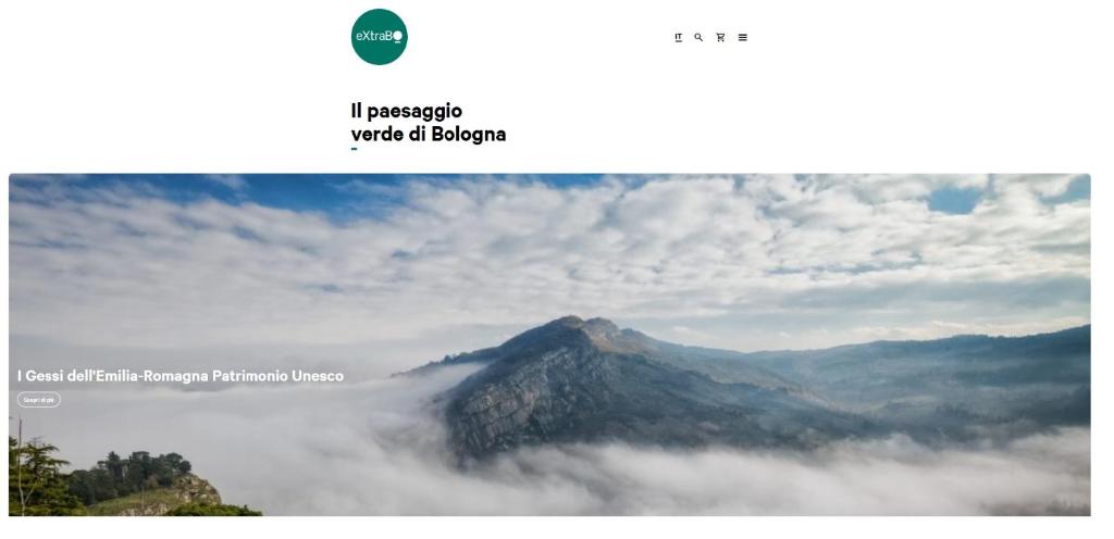 Sports and activities