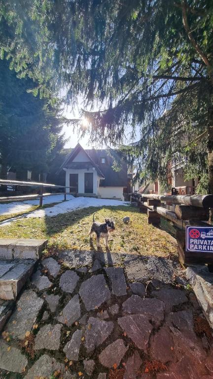 Kućerak na Kopu, Kopaonik