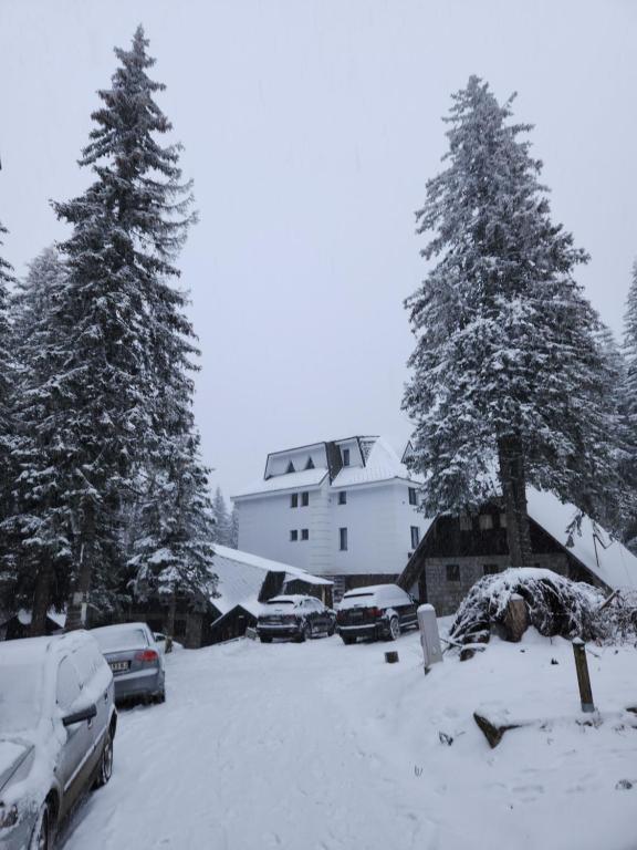 MASSIV Kopaonik centar lux apartmani - 3