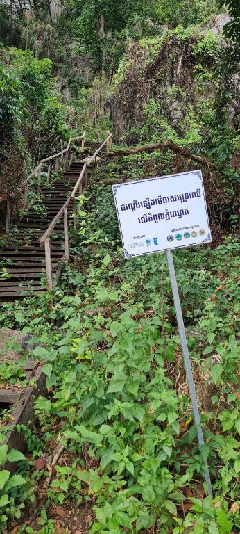 Surrounding environment