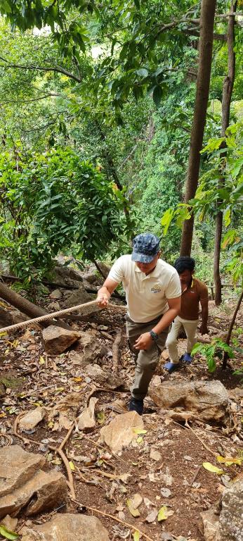 Surrounding environment