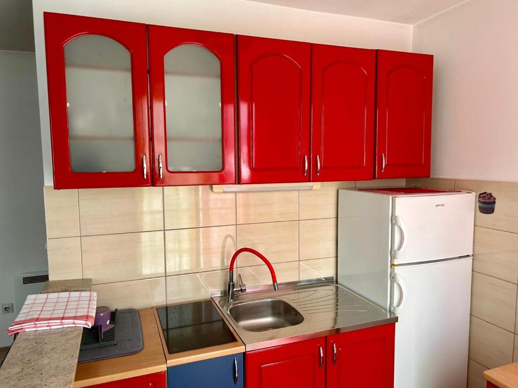Apartman Pale - 5