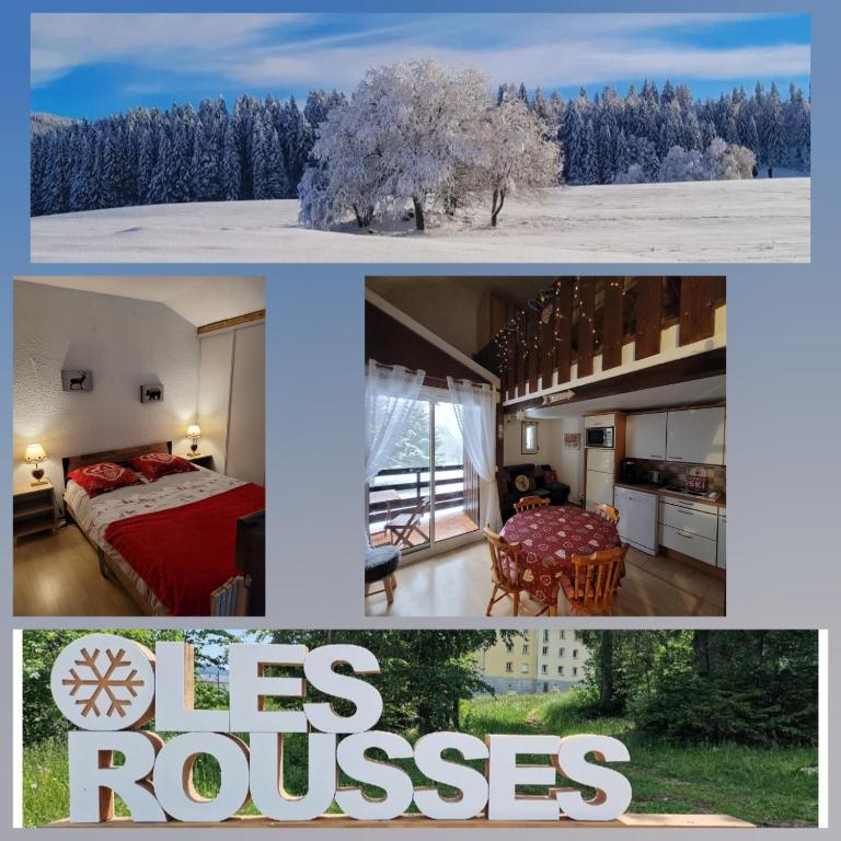 LE CHALET DES SAPINS, Superbe Duplex avec belle vue, Au Coeur Des Rousses, Tout confort 5 pers, Draps inclus, parking gratuit, Les Rousses