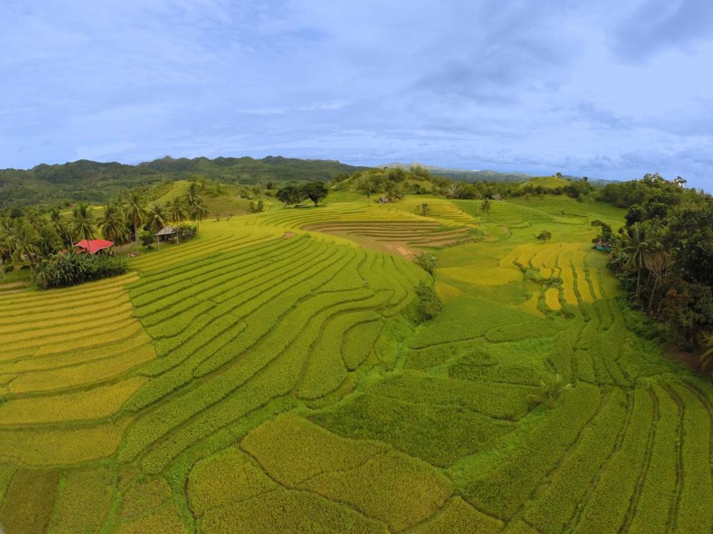 Surrounding environment