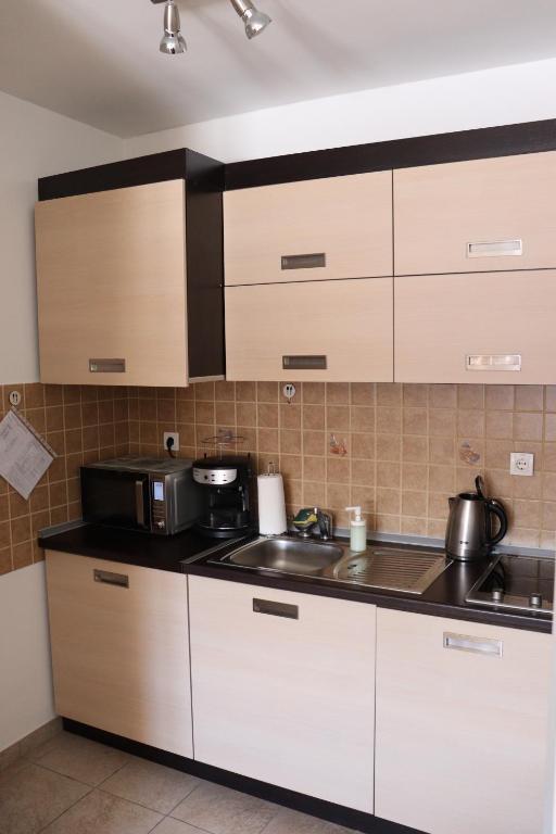 Apartman Snesko Zoned - 5