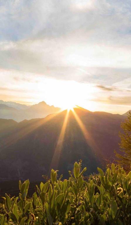 tHE Eagle Nest Duplex - Your Mountain Retreat - 5