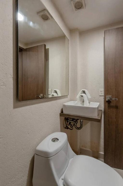 Central and cozy CDMX 1BR - 4