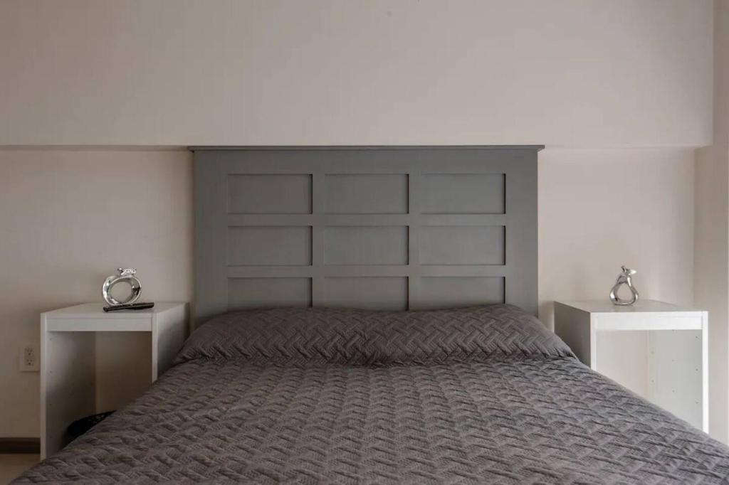 Central and cozy CDMX 1BR - 5