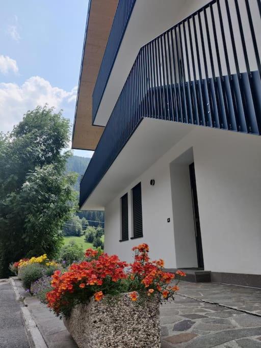 NEW ENTRY - Nuova villa nel verde - 2