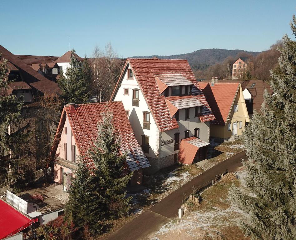 Vila Milica Apartmani - 1